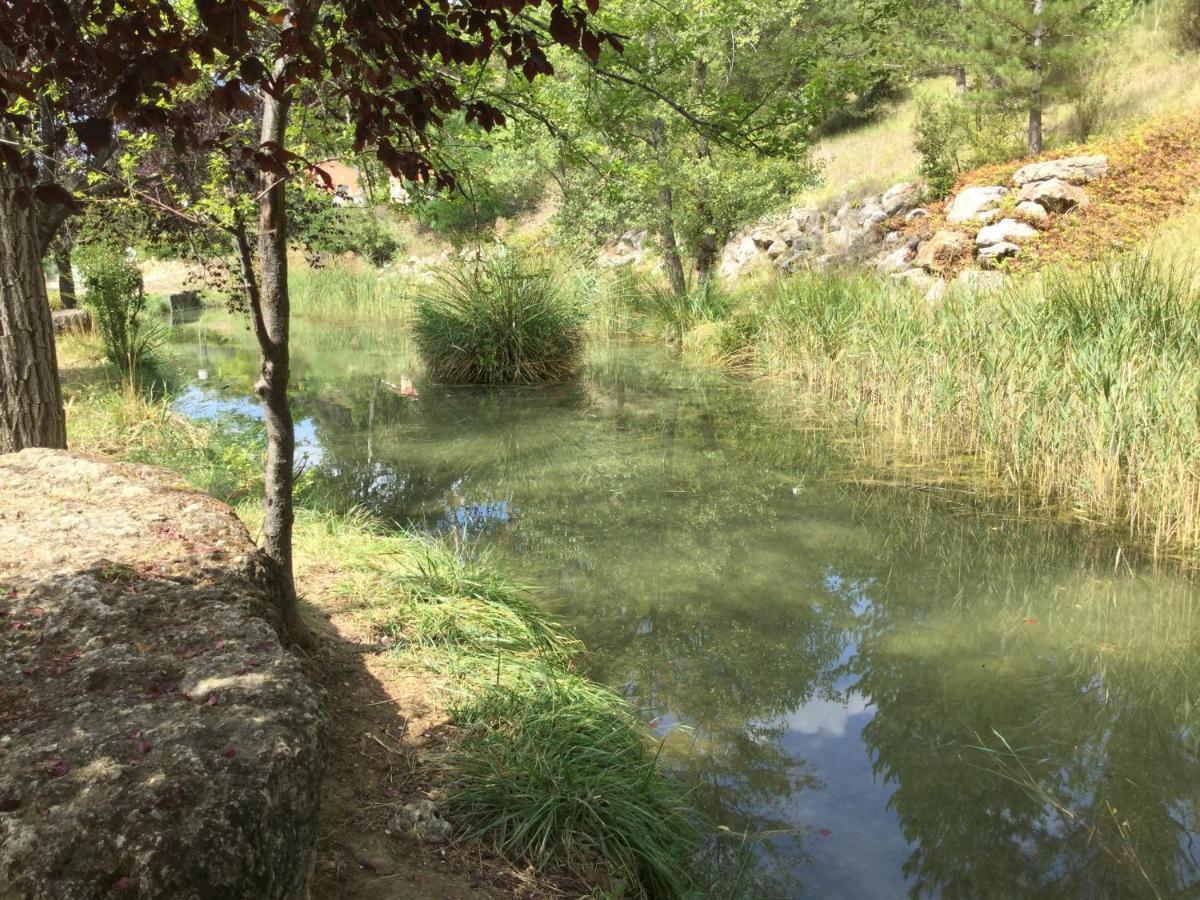 Mazet Tournesol Aux Portes Du Verdon Saint-Martin-de-Brômes Kültér fotó